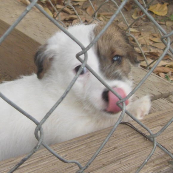 Thanks for shopping my closet!!! - Picture 4 of 16